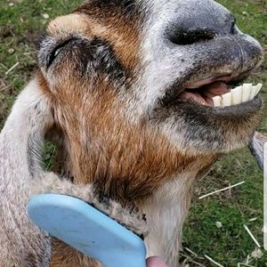 Meet your Posher, Kassie